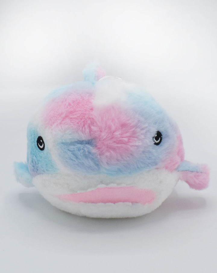 STUFF SHARK TOS0004